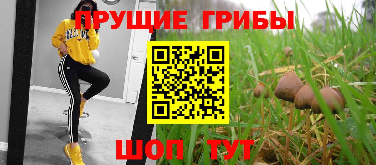 Псилоцибиновые грибы GOLDEN TEACHER Архангельск