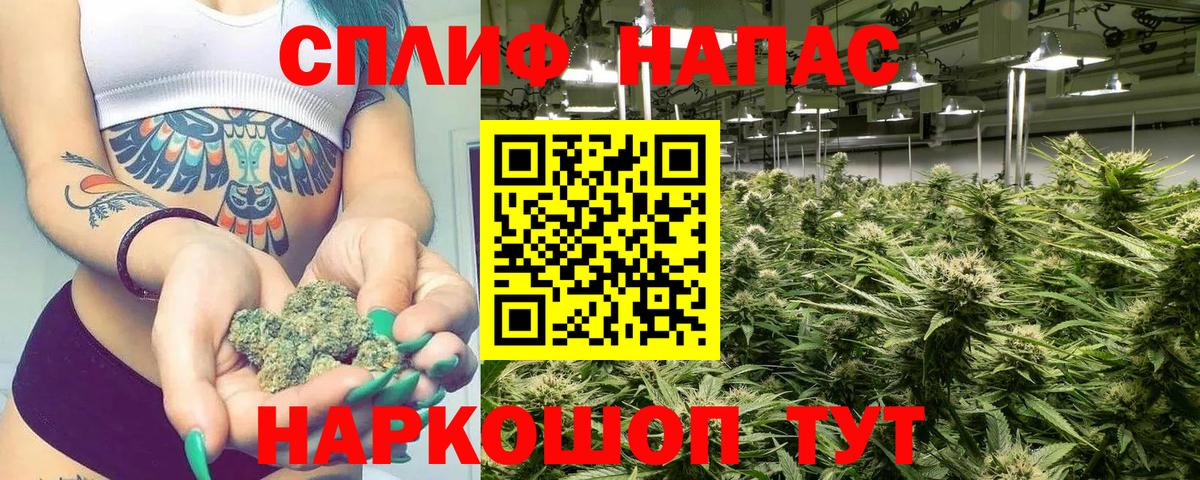 Бошки марихуана марихуана  Вход с VPN  Канабис тримм  Шишки марихуана тримм  Архангельск 